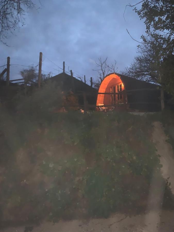 Gallas Pod House Vouzela Exterior photo